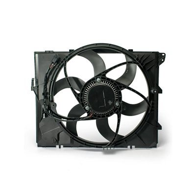 fan.jpg